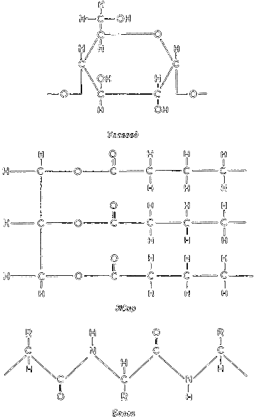 Краткая история биологии - i_005.png