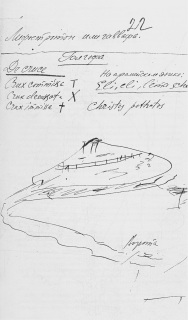 Мой бедный, бедный мастер… - img5_1.png