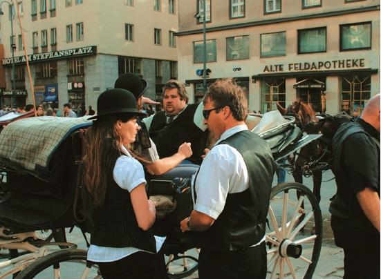 Вена. Путеводитель - _14.jpg