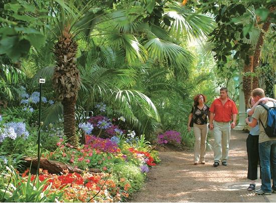 Вена. Путеводитель - _45.jpg