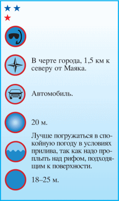 Дайвинг. Красное море - i_029.png