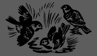 В лесах счастливой охоты - i_069.png