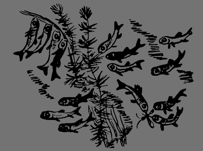 В лесах счастливой охоты - i_144.png