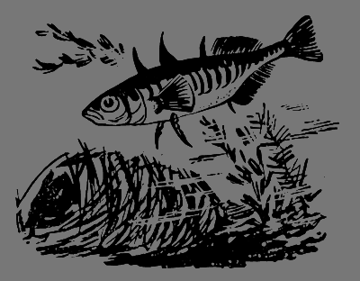 В лесах счастливой охоты - i_145.png