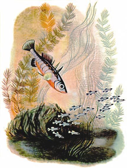 В лесах счастливой охоты - i_146.jpg