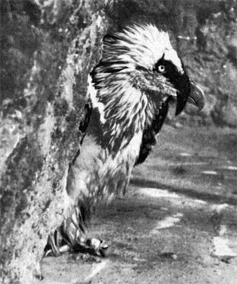 Силуэты на облаках - i_263.jpg