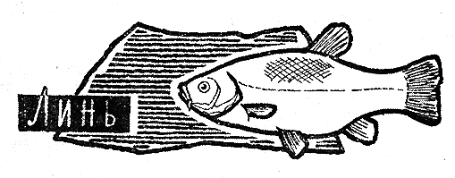 Рыбьи дорожки - i_022.png