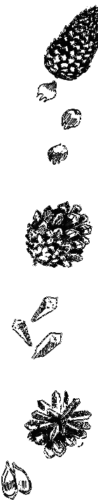 Клуб Колумбов - i_059.png