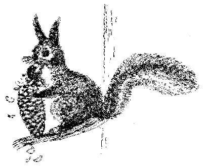 Клуб Колумбов - i_060.png