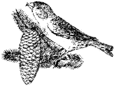 Клуб Колумбов - i_061.png