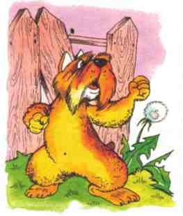 Рассказы о животных - i_019.jpg