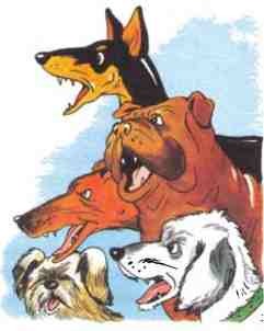 Рассказы о животных - i_020.jpg