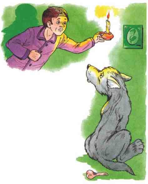 Рассказы о животных - i_021.jpg