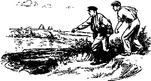 Что я видел (сборник) - i_004.png