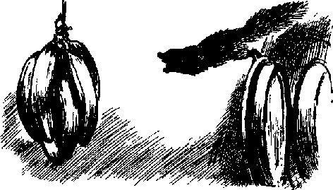 Что я видел (сборник) - i_017.png