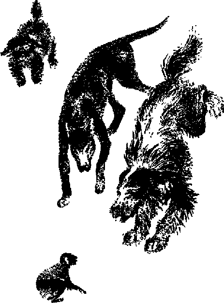 Что я видел (сборник) - i_019.png