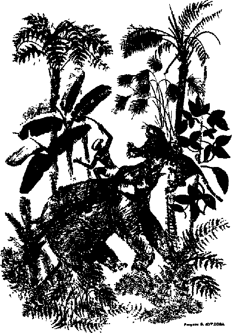 Что я видел (сборник) - i_026.png