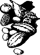 Что я видел (сборник) - i_035.png