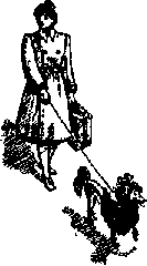 Что я видел (сборник) - i_040.png