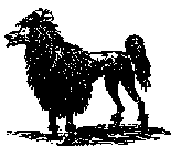 Что я видел (сборник) - i_047.png