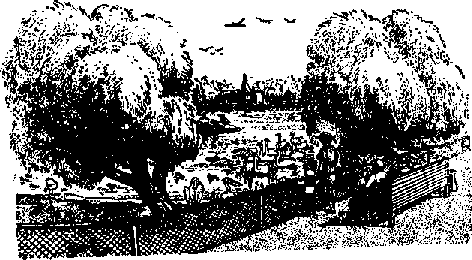 Что я видел (сборник) - i_089.png