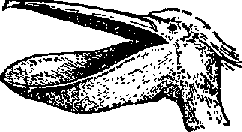 Что я видел (сборник) - i_091.png