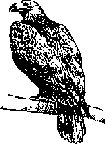 Что я видел (сборник) - i_096.png