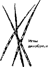 Что я видел (сборник) - i_097.png