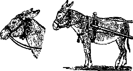 Что я видел (сборник) - i_100.png