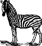 Что я видел (сборник) - i_105.png