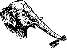 Что я видел (сборник) - i_116.png