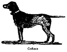 Что я видел (сборник) - i_121.png