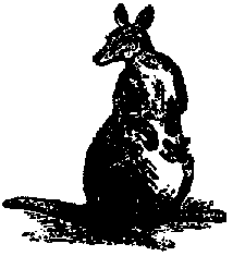 Что я видел (сборник) - i_138.png