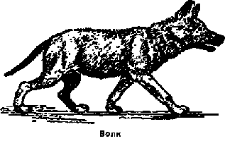 Что я видел (сборник) - i_148.png