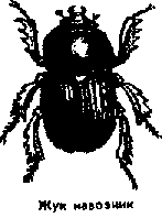 Что я видел (сборник) - i_158.png