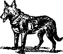 Что я видел (сборник) - i_174.png