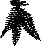 Что я видел (сборник) - i_187.png