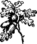 Что я видел (сборник) - i_192.png