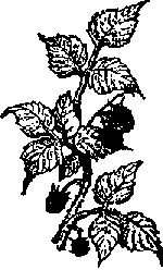 Что я видел (сборник) - i_194.png