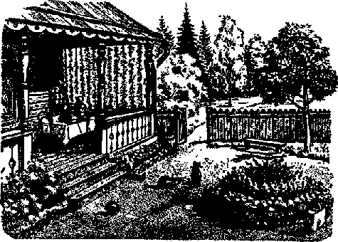 Что я видел (сборник) - i_199.png