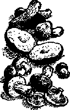 Что я видел (сборник) - i_204.png