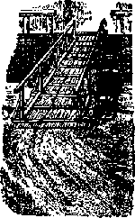 Что я видел (сборник) - i_205.png