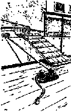 Что я видел (сборник) - i_211.png