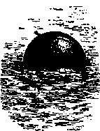 Что я видел (сборник) - i_219.png