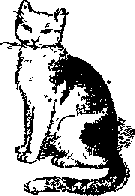 Что я видел (сборник) - i_241.png