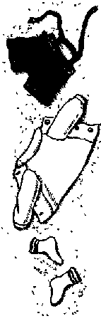 Что я видел (сборник) - i_290.png