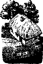 Что я видел (сборник) - i_293.png