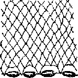 Что я видел (сборник) - i_296.png