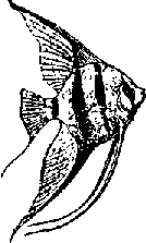 Что я видел (сборник) - i_302.png