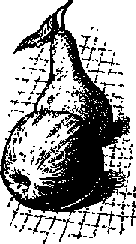 Что я видел (сборник) - i_309.png